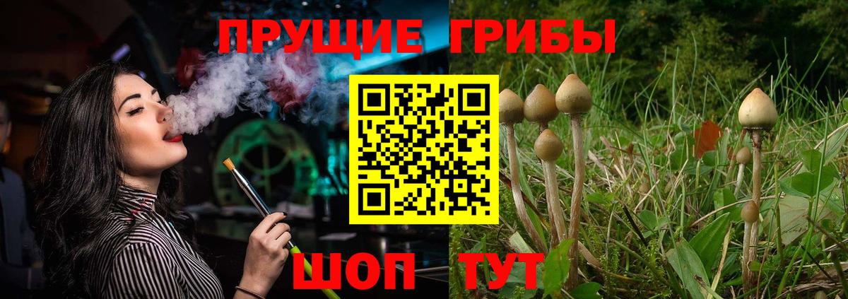 Псилоцибиновые грибы Psilocybine cubensis  цены наркотик  Донской  Вход с VPN 